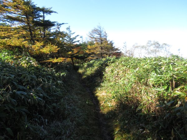登山道